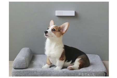 Kvapų neutralizatorius PETKIT PURA Air - Image 2
