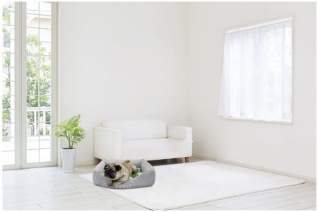 Gyvūno guolis PETKIT Cooling Pet Bed L - Image 4